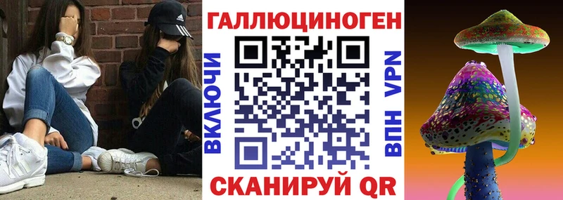 hydra маркетплейс где можно купить Абинск Псилоцибиновые грибы Psilocybe